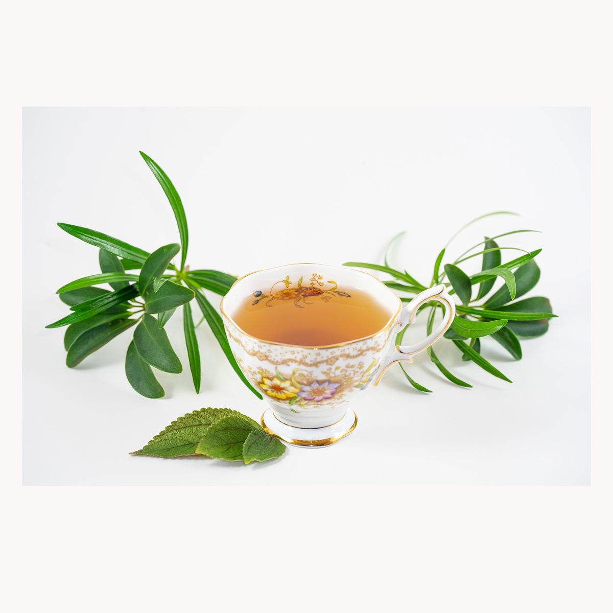 https://www.ponoinfusions.com/cdn/shop/products/Kai-Green-Tea_1200x.jpg?v=1613077159
